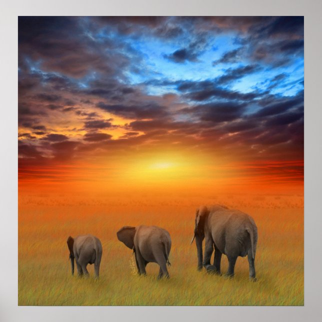 Póster O futuro é brilhante (Frente)