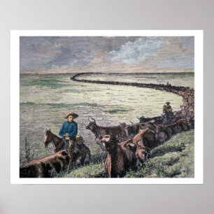 Poster O gado de Longhorn conduz de Texas a Abilene,