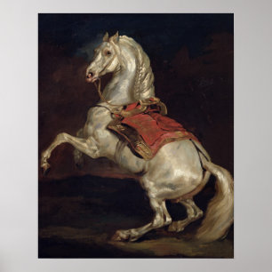 Poster O garanhão de Napoleon, Tamerlan