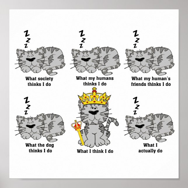 Poster O Gato (Frente)