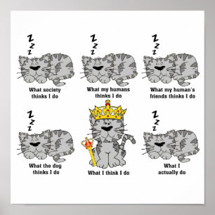 Poster O gato