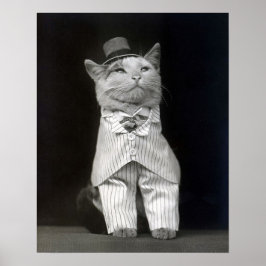 Póster O Gato Dapper, 1906. Vintage Photo
