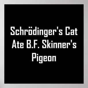 Póster O gato de Schrodinger comeu Pombo de B.F. Skinner