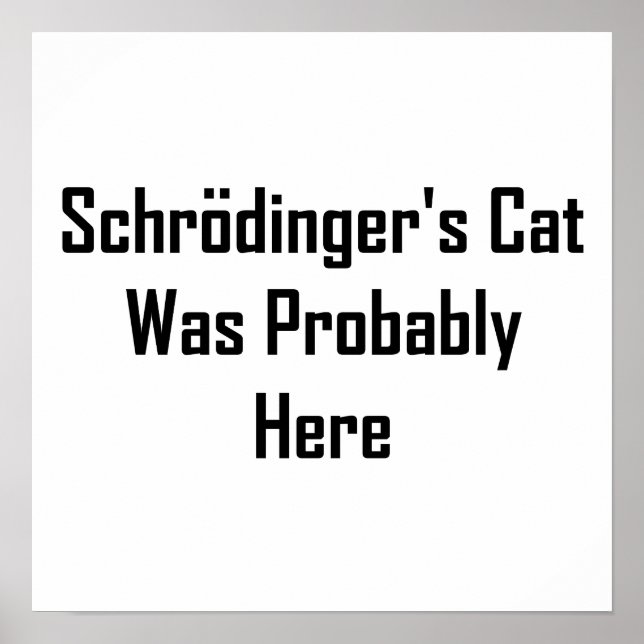 Póster O Gato de Schrodinger estava provavelmente aqui (Frente)