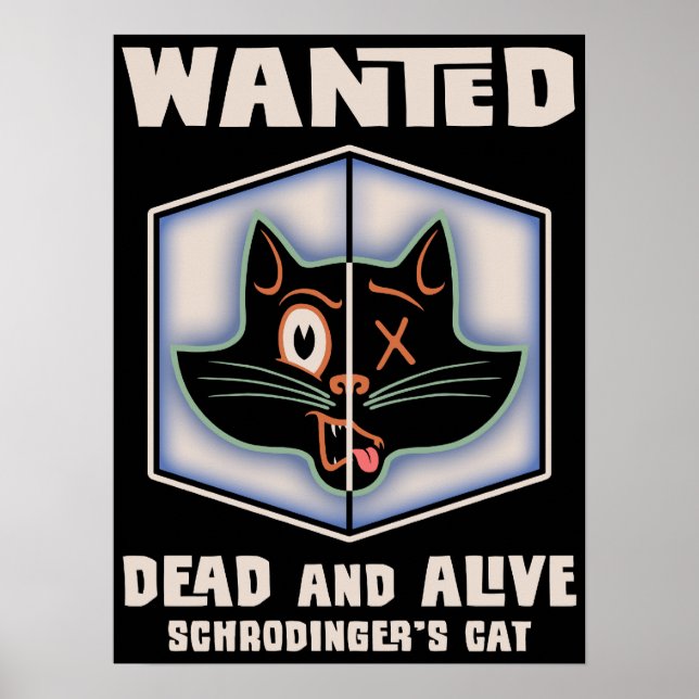 Póster O Gato de Schrodinger foi procurado (Frente)