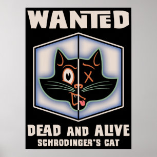 Póster O gato de Schrodinger querido
