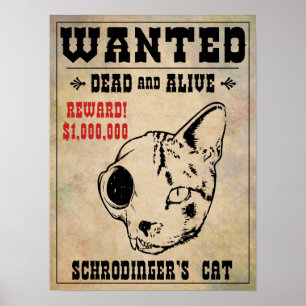 Póster O gato de Schrodinger quis II