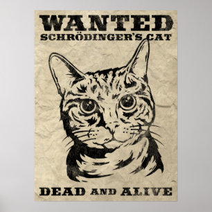 Poster O gato de Schrodinger quis inoperante ou vivo