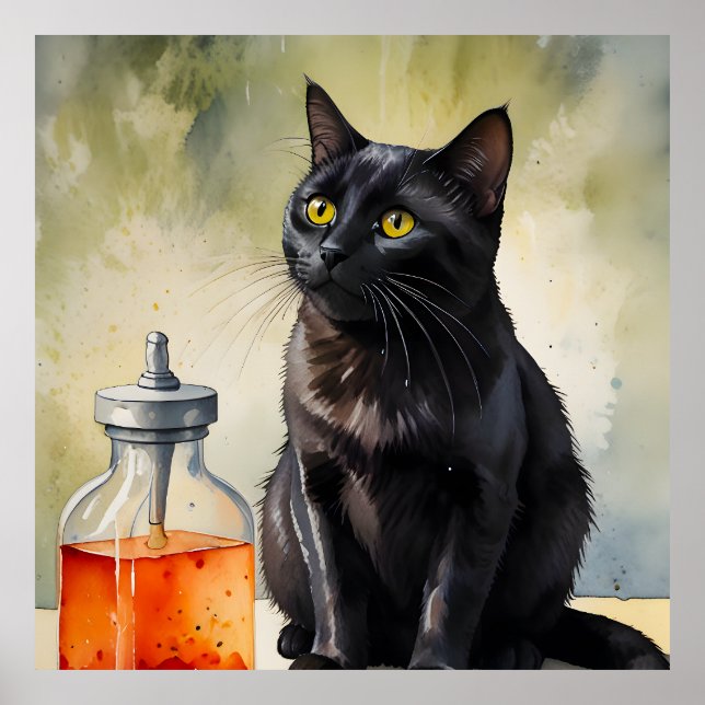 Poster O Gato do Alquimista (Frente)