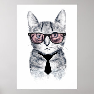 Póster O gato esperto de Panka
