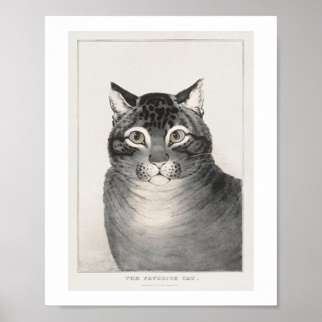 Poster O Gato Favorito (1838–48) Litografia (Frente)