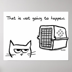 Poster O gato irritado não estará indo ao veterinário