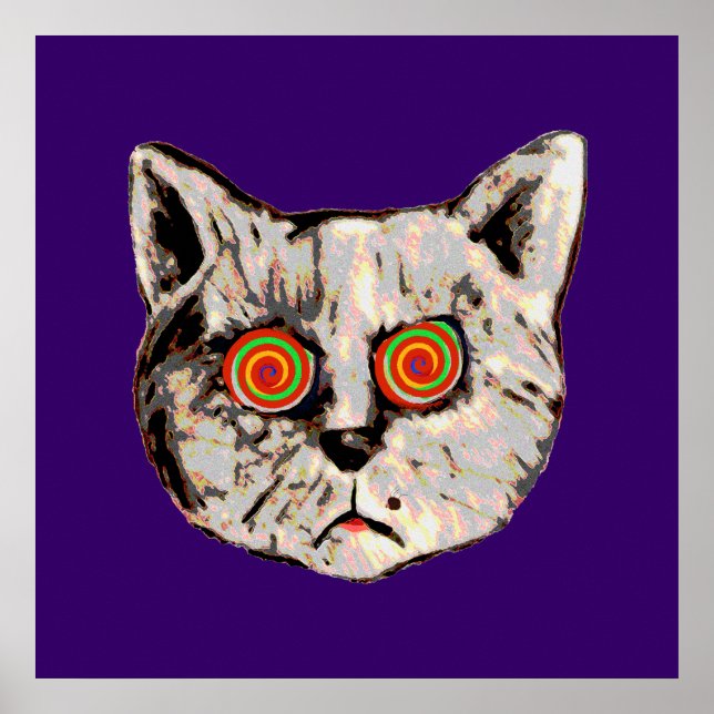 Poster o gato louco engraçado (Frente)