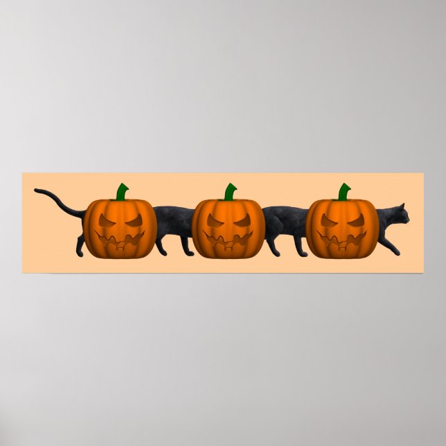 Póster O Gato Mais Longo do Mundo (Frente)