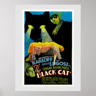 Poster O Gato Negro (poster de filme de vintage)