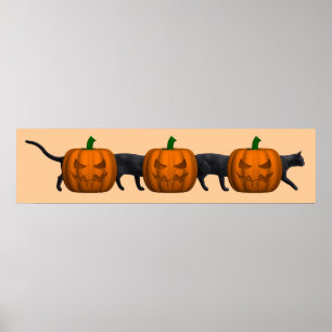 Póster O gato o mais longo do mundo