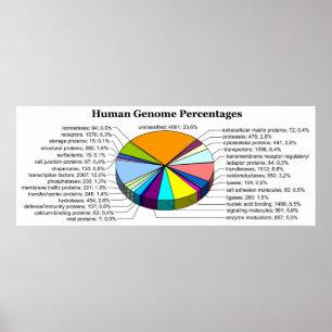 Poster O genoma humano com número e por cento de cada um