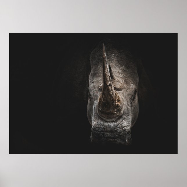 POSTER O GIGANTE EM PERIGO (Frente)