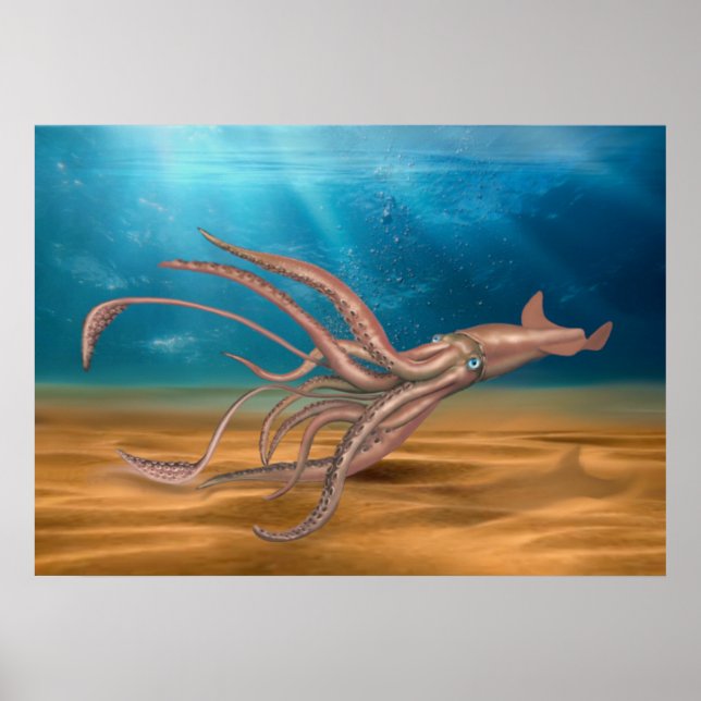 POSTER O GIGANTE SQUID (Frente)