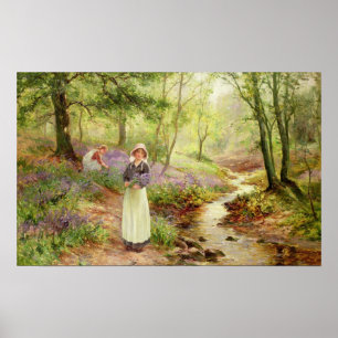 Poster O Glade do Bluebell