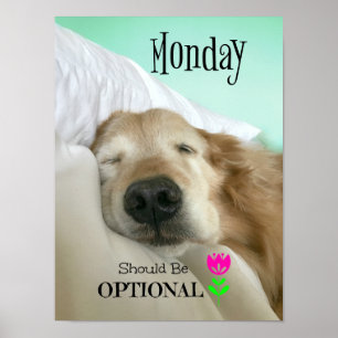 Poster O golden retriever engraçado segunda-feira deve