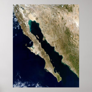 Póster O Golfo da Califórnia