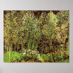 Póster O Grove (F817) Van Gogh Belas Artes