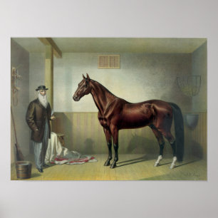 Poster O Hambletonian de Rysdyk - 1876