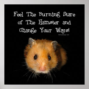 Póster O hamster