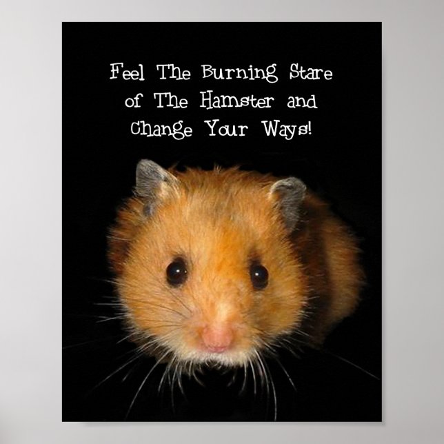 Poster O Hamster (Frente)