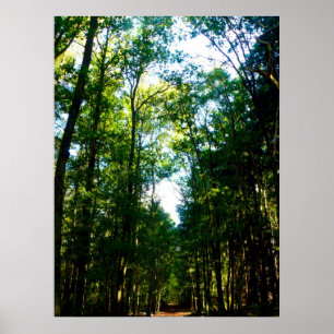 Póster O Hetero e o estreito