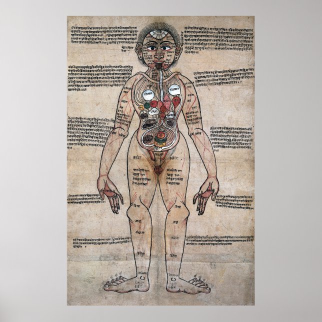 Poster O Homem Ayurvédico (Frente)