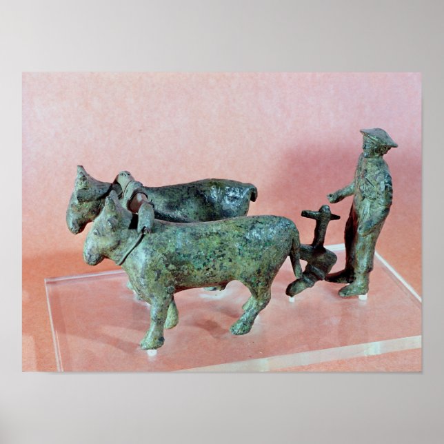 Poster O Homem-Flor de Arezzo (Frente)