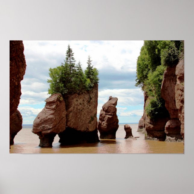 Poster O Hopewell Rocks Canada (Frente)