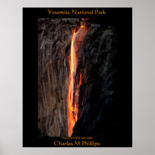 Póster O HorseTail cai última luz