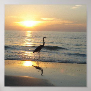 Póster O indiano balança o guindaste do por do sol de