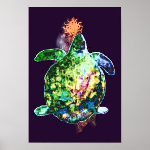 Poster O indicador de cor cósmica