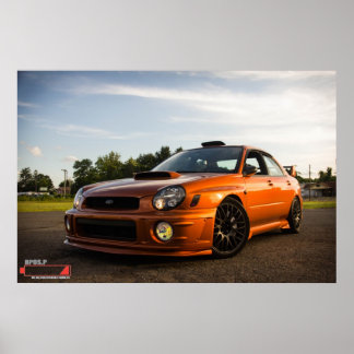 Póster O Inseto Atômica