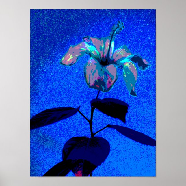 Poster O Iridescente Hibiscus Bloom Blue Pink (Frente)