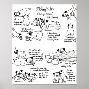 Poster O irmão ordena (a versão do Pug mais velho)