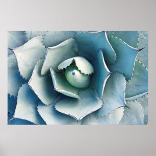 Poster O Jardim Botânico de Huntington