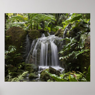 Póster O jardim botânico tropical de Fairchild é uns 33