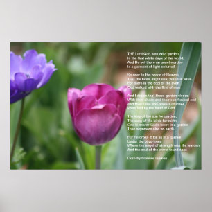 Póster O jardim do deus