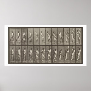Poster O jogador de cricket, chapeia 291 "da locomoção