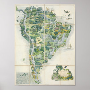 Poster O jogo novo de Wallis dos andarilhos no