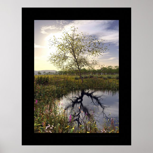 Poster O lado negro - O obscurecido Le côté (Frente)