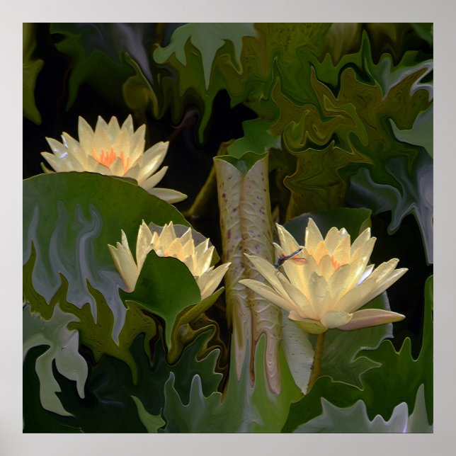 Poster O lago da Fae.... (Frente)