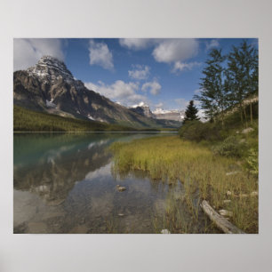 Póster O lago das aves aquáticas ao longo da pista de Ic