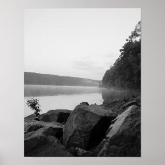 Poster O Lago e a Névoa
