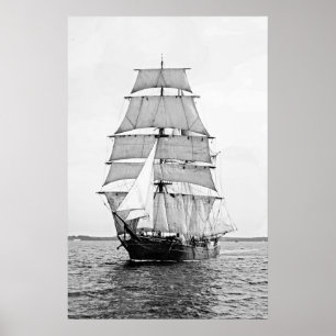 Póster O latido Robert Ewing